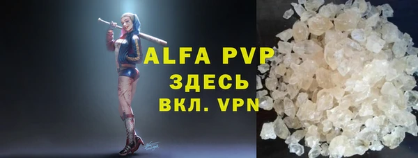 прущие грибы Аркадак
