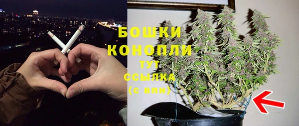 ПСИЛОЦИБИНОВЫЕ ГРИБЫ Балахна