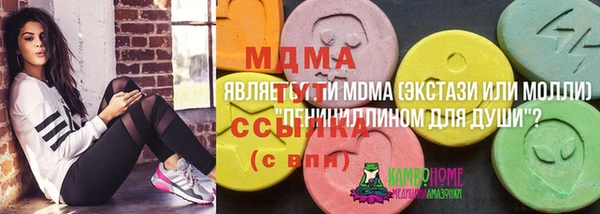 прущие грибы Аркадак