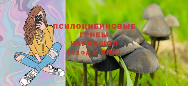 прущие грибы Аркадак