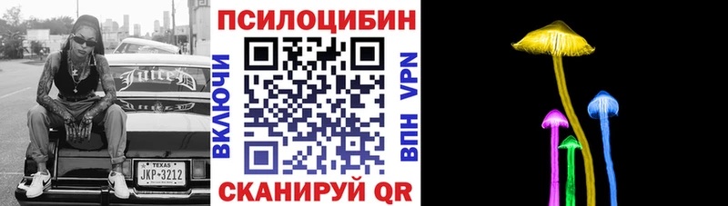 Купить где  Тында  Галлюциногенные грибы MAGIC MUSHROOMS 